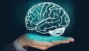 neurociência